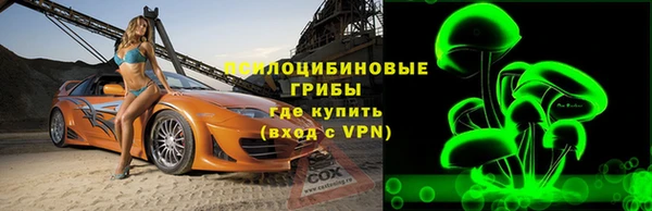 ECSTASY Медвежьегорск